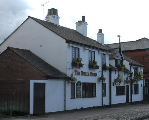 bulls head